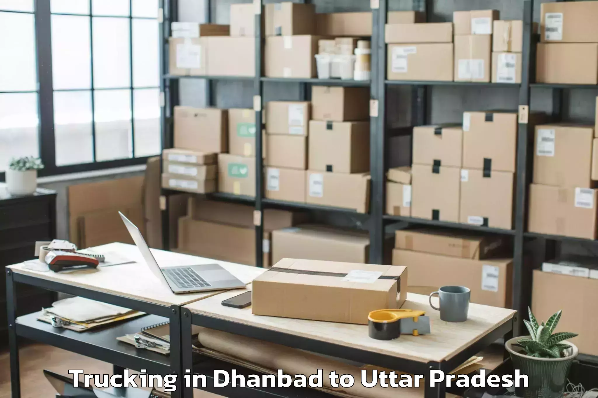 Book Dhanbad to Bisauli Trucking Online